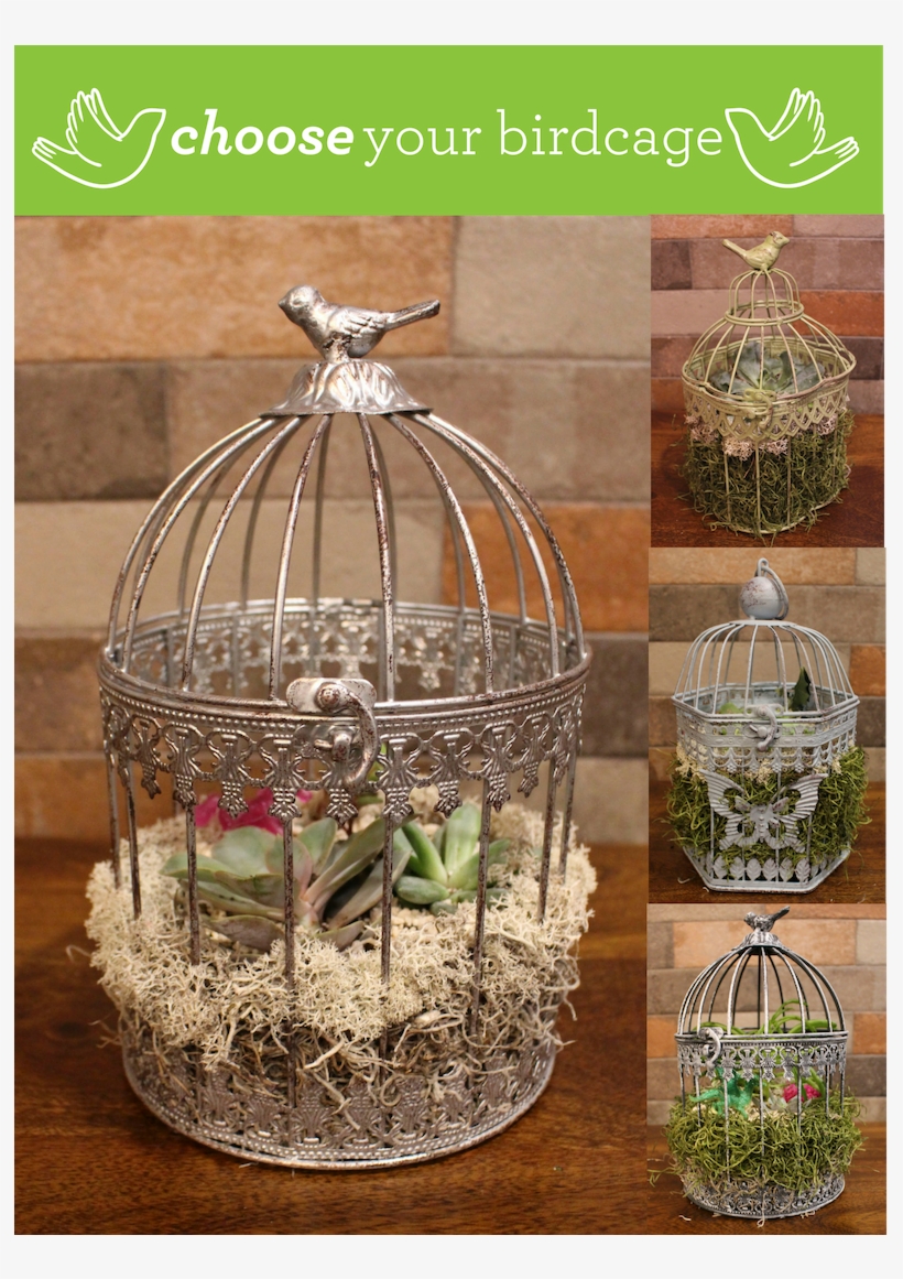 19 Nook's Pourhouse- Birdcage Event At Nook's Pourhouse - Cage, transparent png download