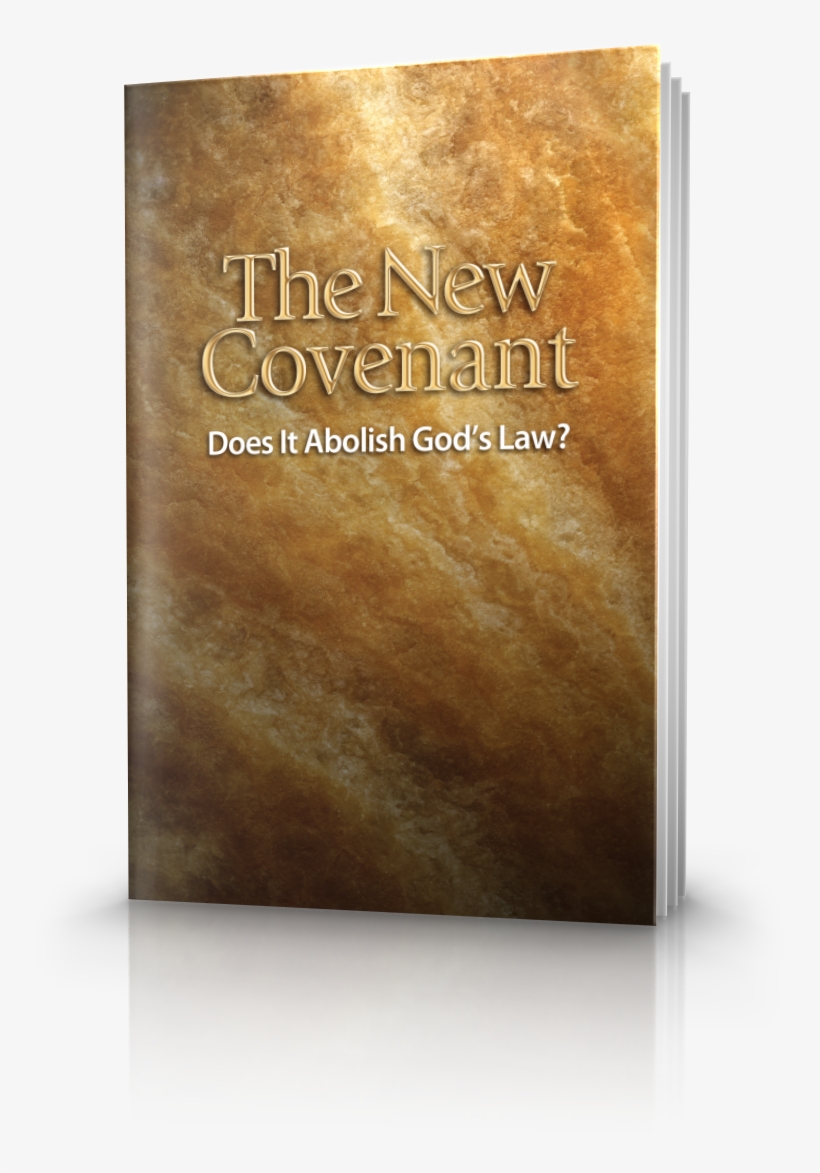 Book Cover, transparent png download