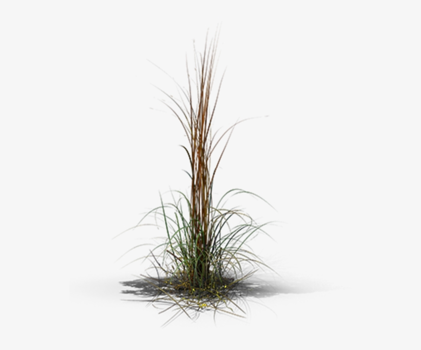 View In My Picture - Grass, transparent png download
