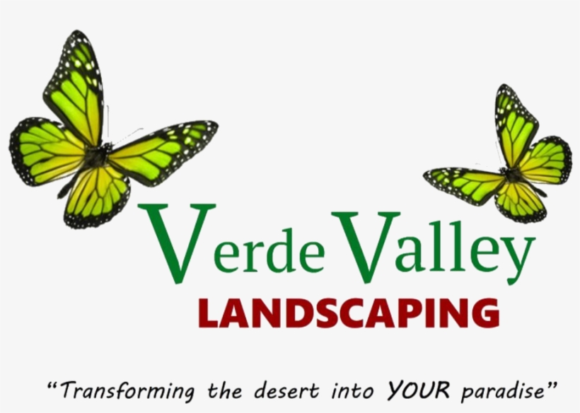 Stop By Today - Lycaenid, transparent png download