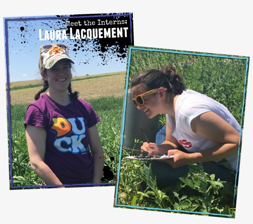 Ll 01 Composite W=646&h=541 - Garden, transparent png download