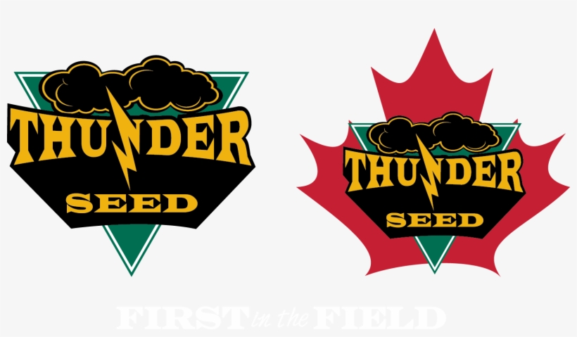 Thunder Seed, transparent png download