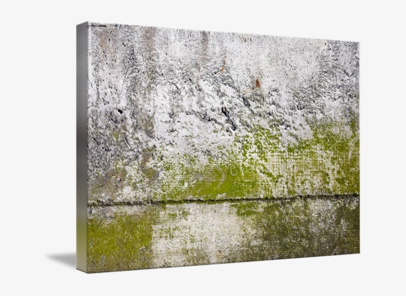 Abstract Close Up Photograph - Grass, transparent png download