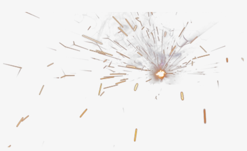 Report Abuse - Macro Photography, transparent png download