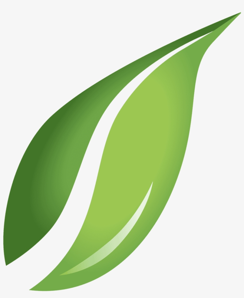 leaf-images-png-transparent-png-1181x1184-free-download-on-nicepng