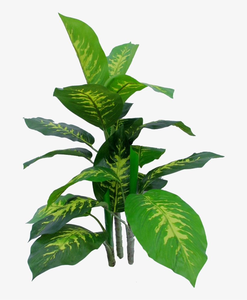 Plantas Artificiales - Houseplant, transparent png download