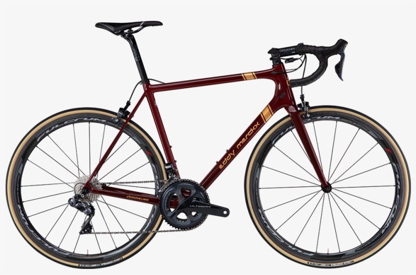 Stockeu69 - Trek Domane Sl5 Disc 2019, transparent png download