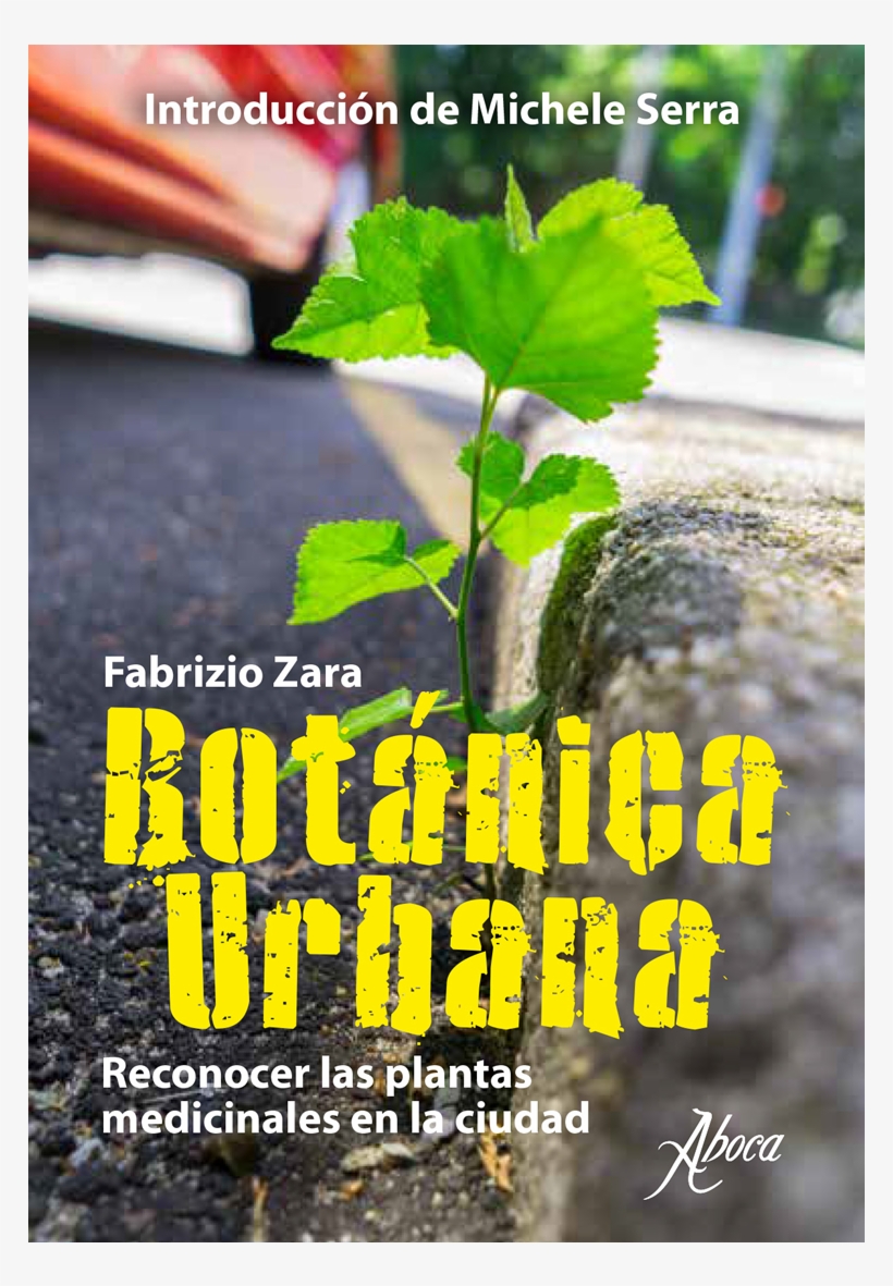 Picture Of Botánica Urbana - Poster, transparent png download