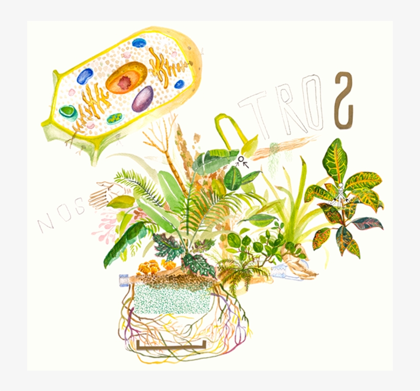 1 - Illustration, transparent png download