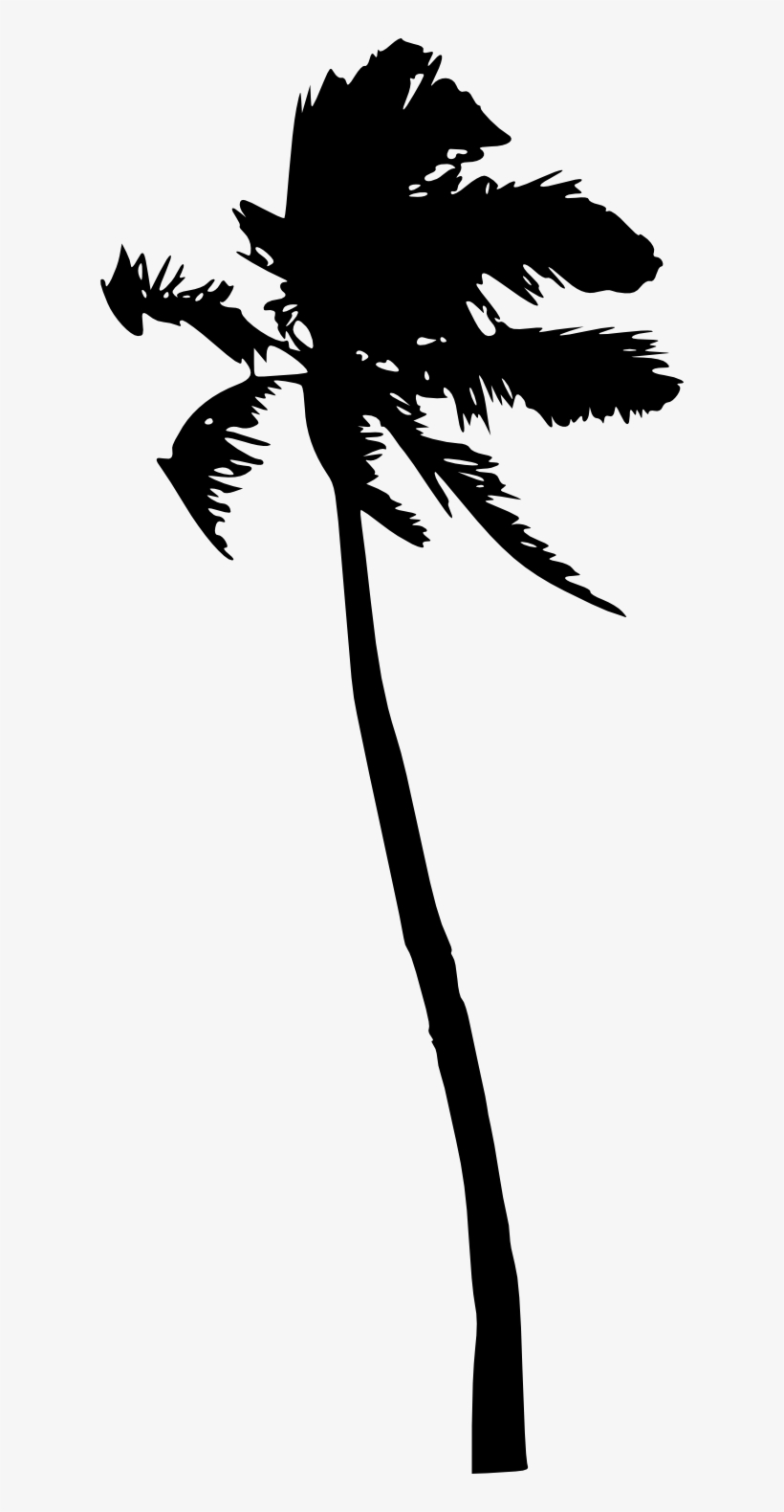 20 Palm Tree Silhouette Vol - Silhouette, transparent png download