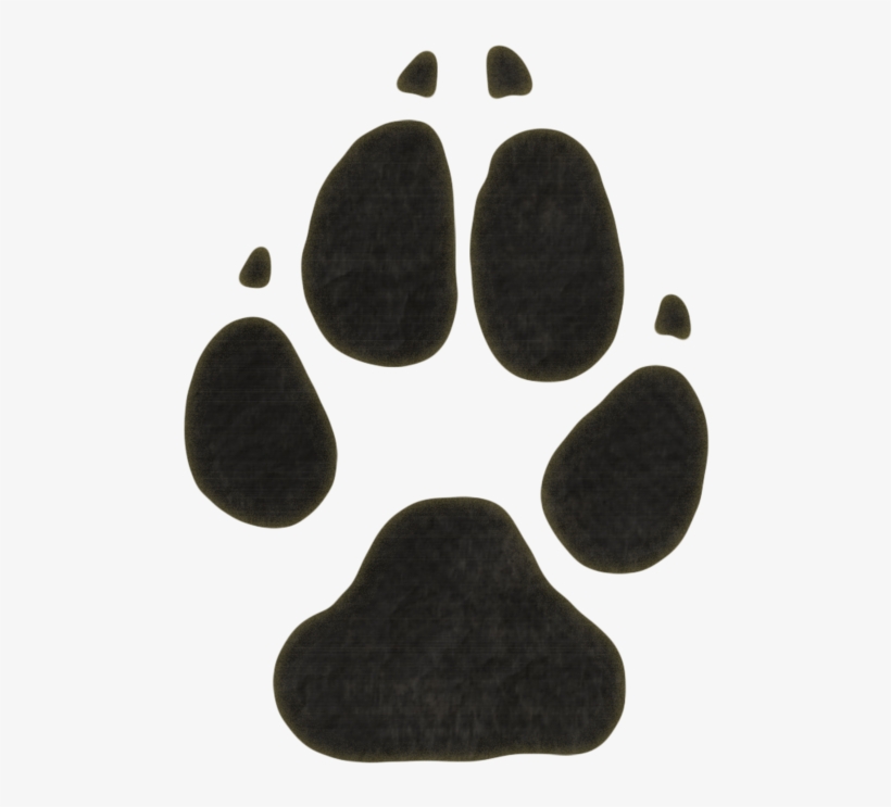 Encontrados Por Mariana - Coyote Vs Wolf, transparent png download