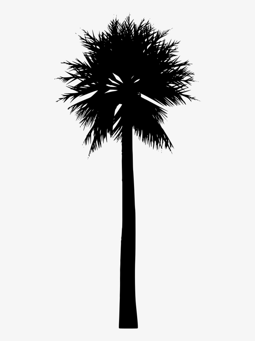 Download Png - Palm Trees, transparent png download