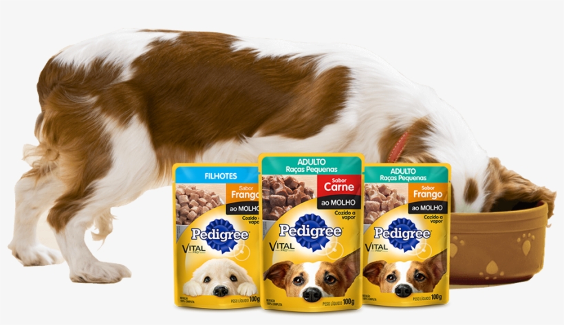 Pedigree® Sachê - Comida Para Cachorro Em Sache, transparent png download