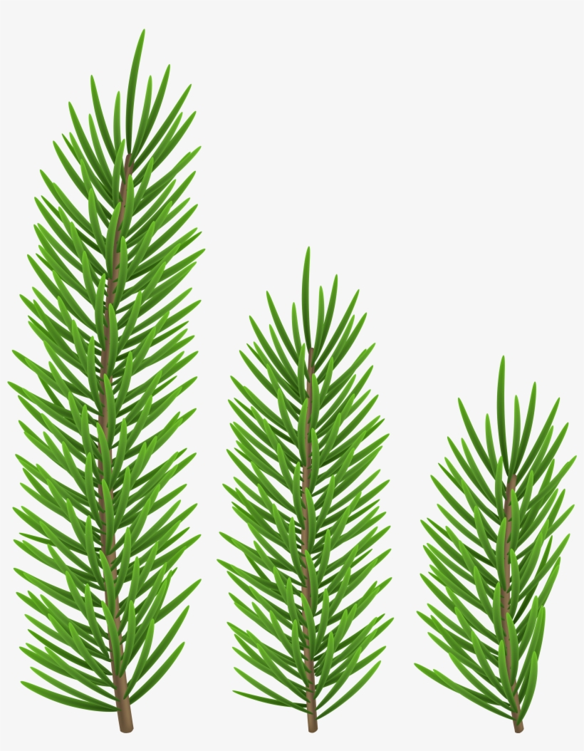 Clip Art, transparent png download