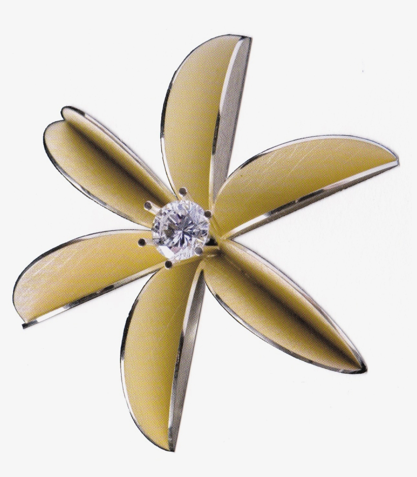 Mouse Over - Cattleya, transparent png download