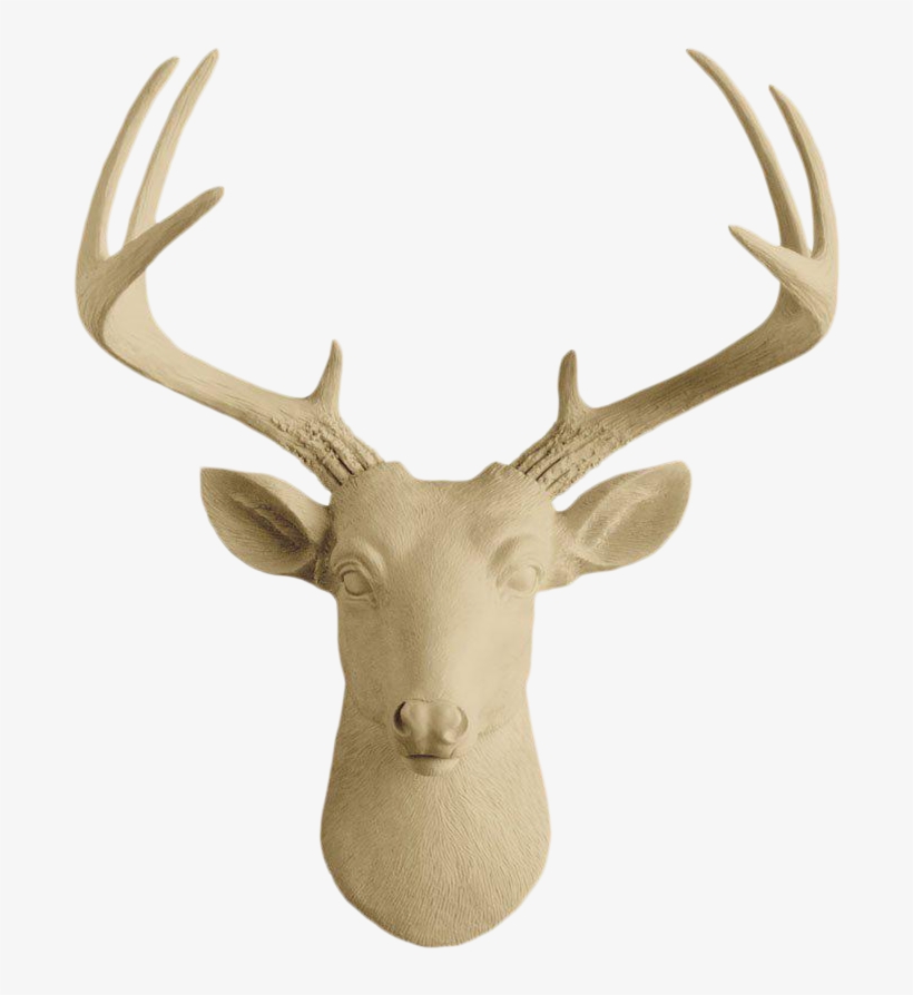 Antler, transparent png download