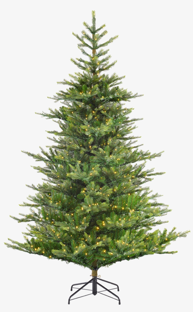 Pine Tree For Christmas, transparent png download