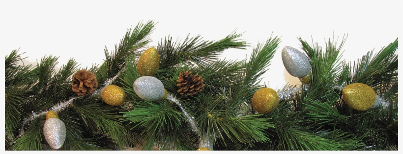 Handy Floral Products Is Now A - Shortstraw Pine, transparent png download