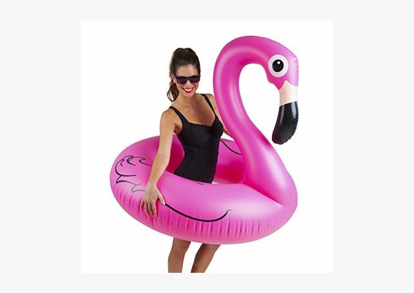 Auction - Pembe Flamingo, transparent png download