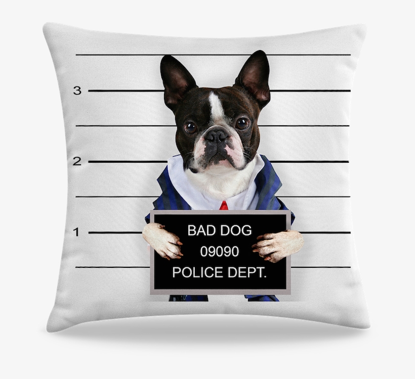 Bad Dog Boston Terrier, transparent png download
