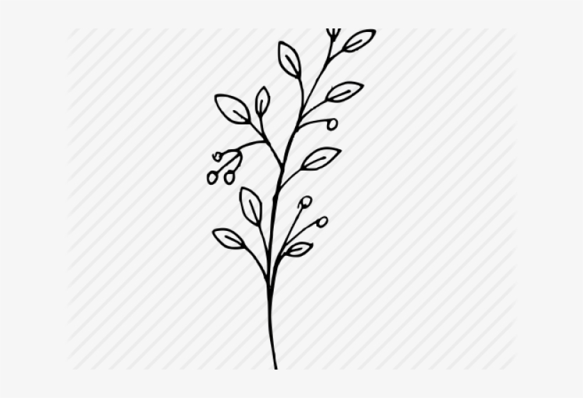 Floral Design, transparent png download