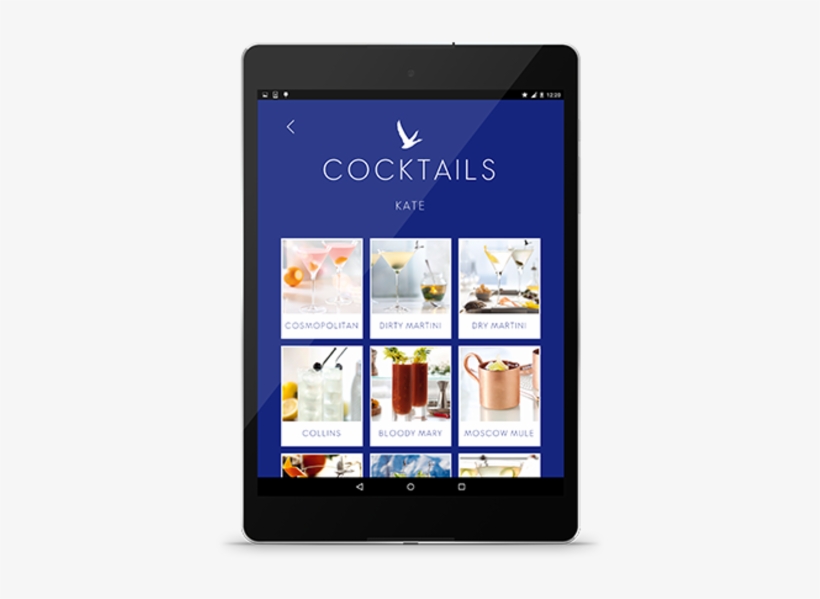 Grey Goose Png - Iphone, transparent png download