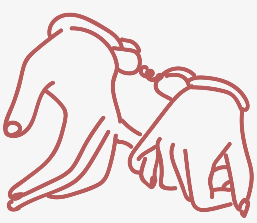 According To Harry, Trojan Munch Club Hosts Several, transparent png download