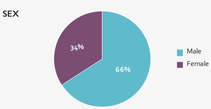 Pie Chart Of Libd Brain Repository Collection Based - Circle, transparent png download