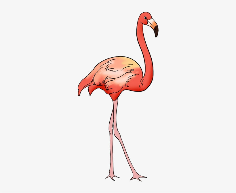 680 X 678 2 - Easy Flamingo Drawing, transparent png download