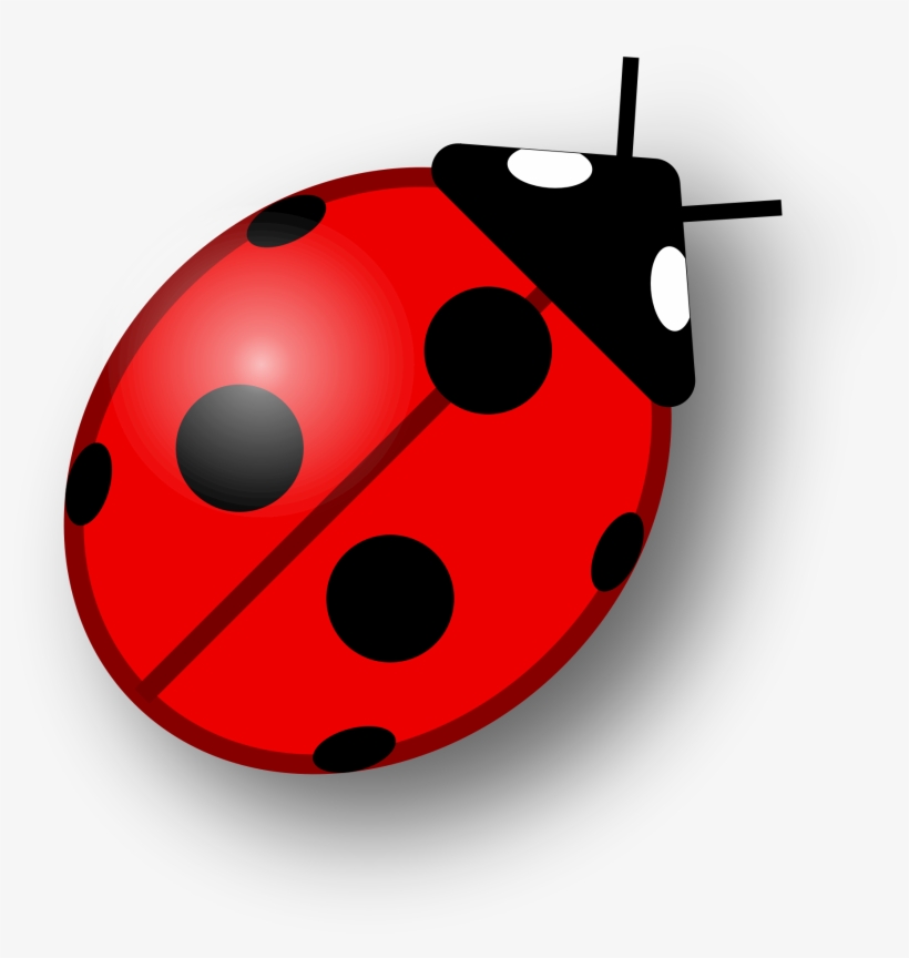 1818 X 1827 6 - Ladybird Png, transparent png download