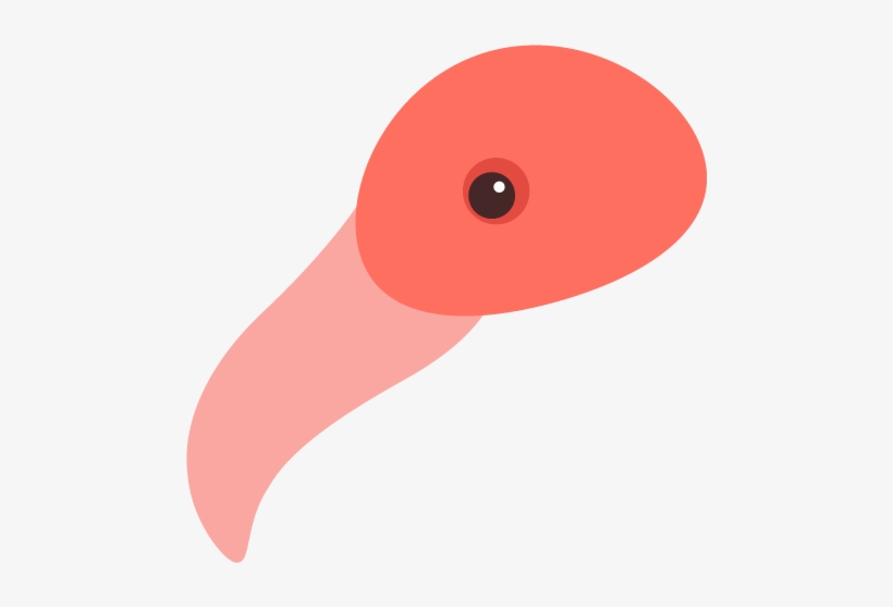 How To Place The Beak On The Head - Greater Flamingo, transparent png download