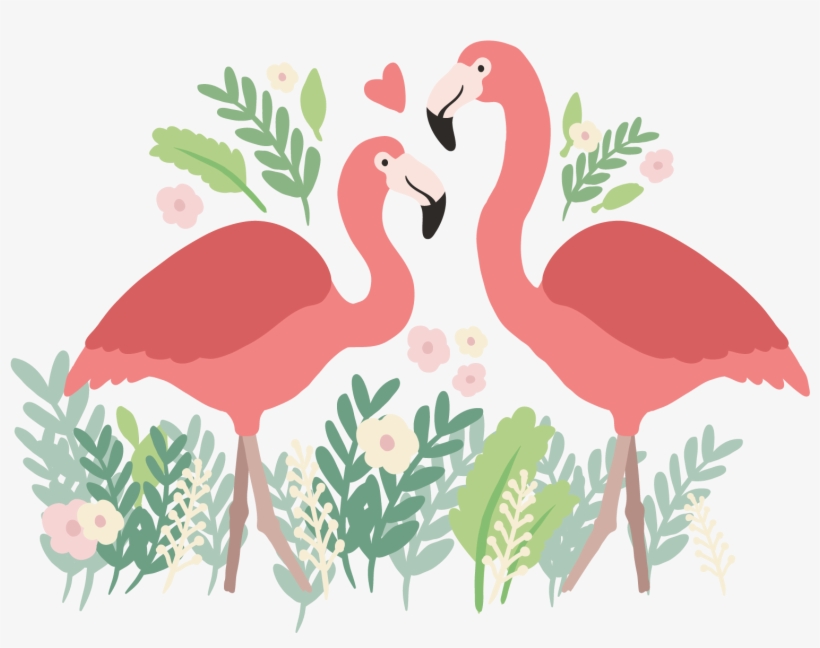 1667 X 1667 2 - Background Flamingo Png, transparent png download