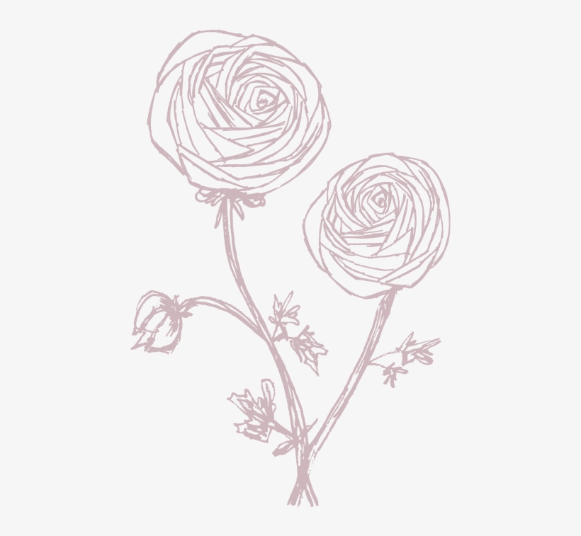 Group Presentations - Sketch, transparent png download