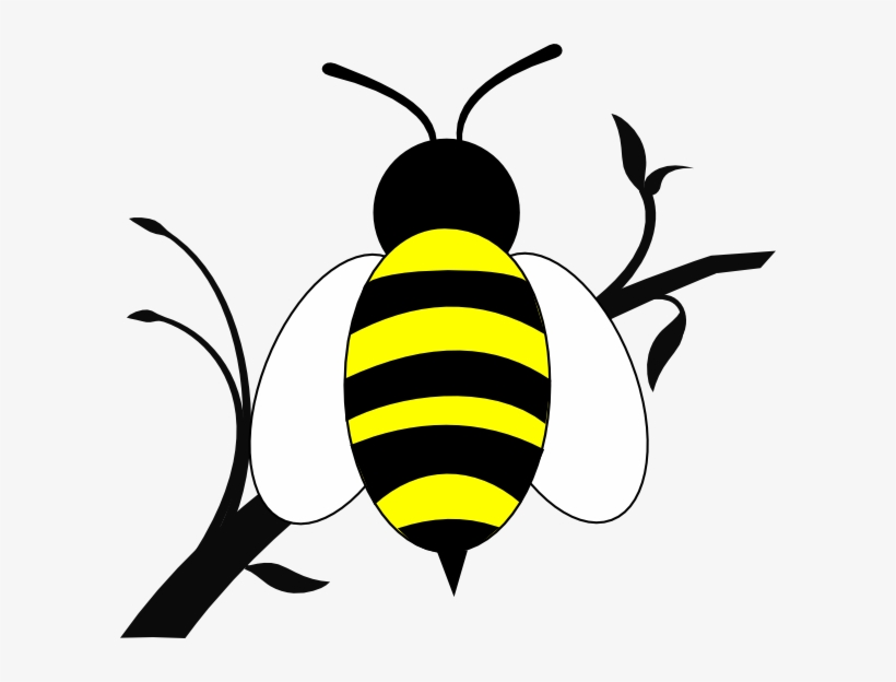 Small - Bumble Bee Clip Art, transparent png download