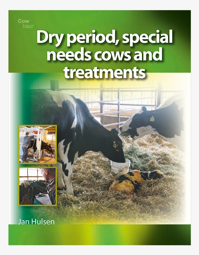 Dry Period, Special Needs Cows And Treatments Brings - Poster, transparent png download