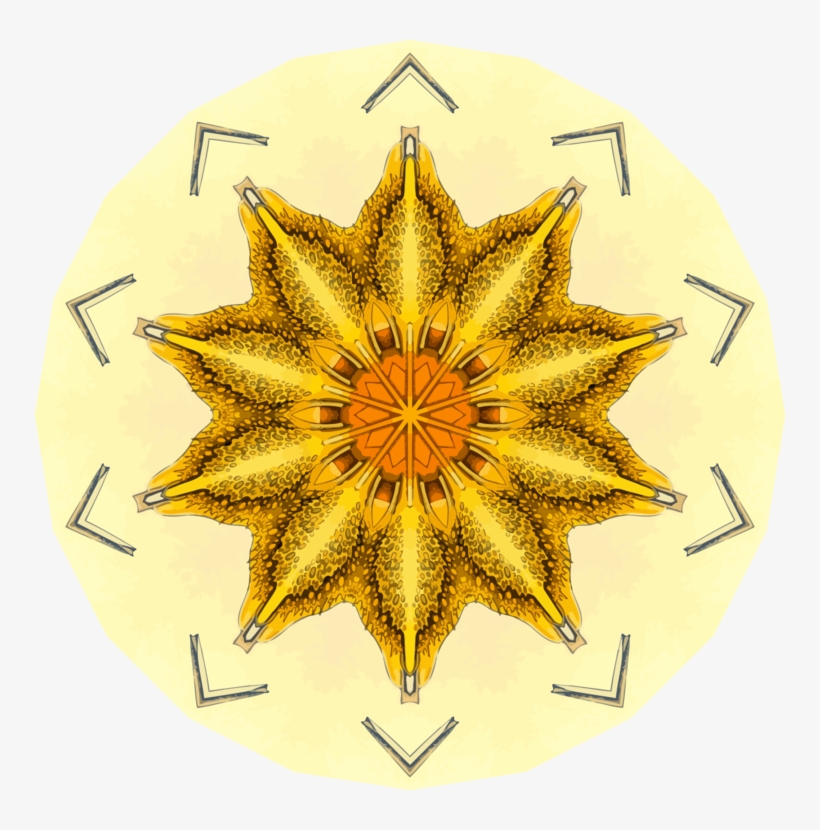 Computer Icons Discounts And Allowances Coupon Boreal - Clip Art, transparent png download