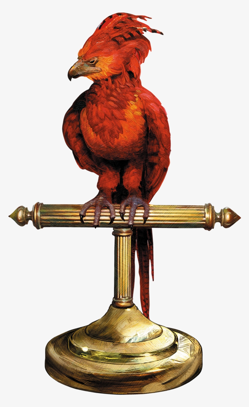 Image Fawkes Perch Png, transparent png download