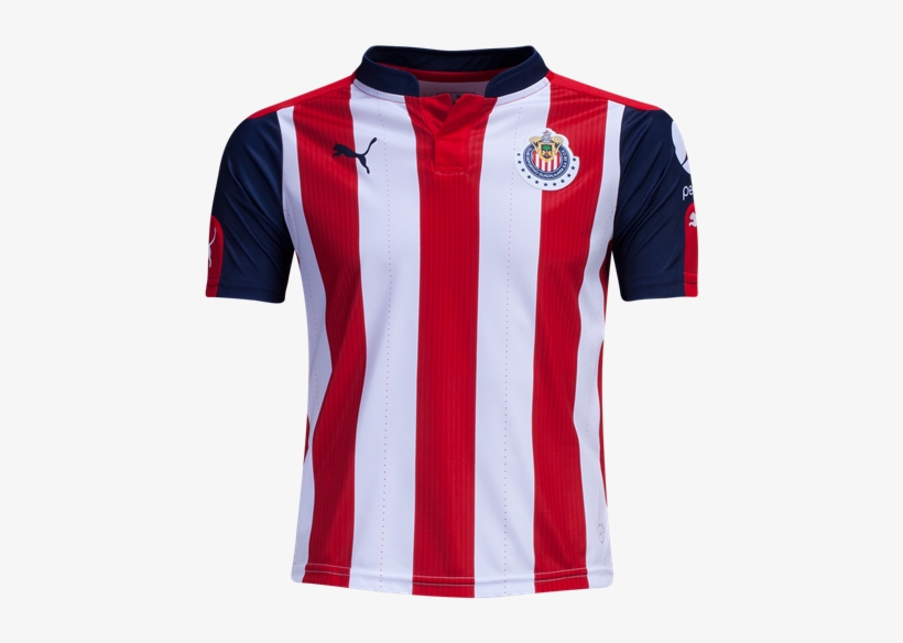 Polo Shirt, transparent png download