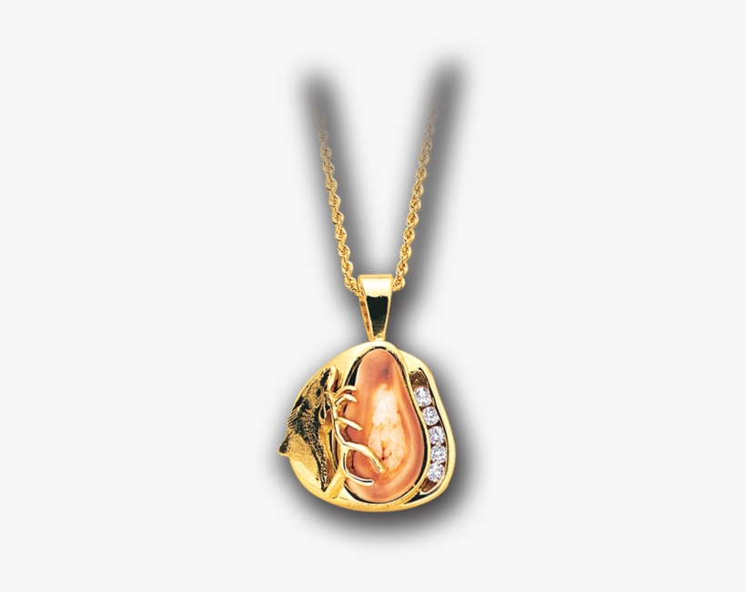 Locket, transparent png download