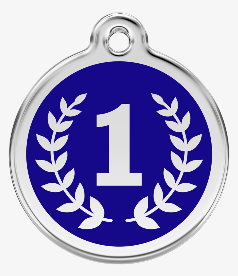 Red Dingo Stainless Steel & Enamel 1st Place Winner - אבא אמא של שבת, transparent png download