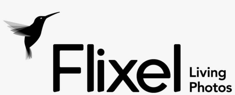 Flixel's - Hummingbird, transparent png download