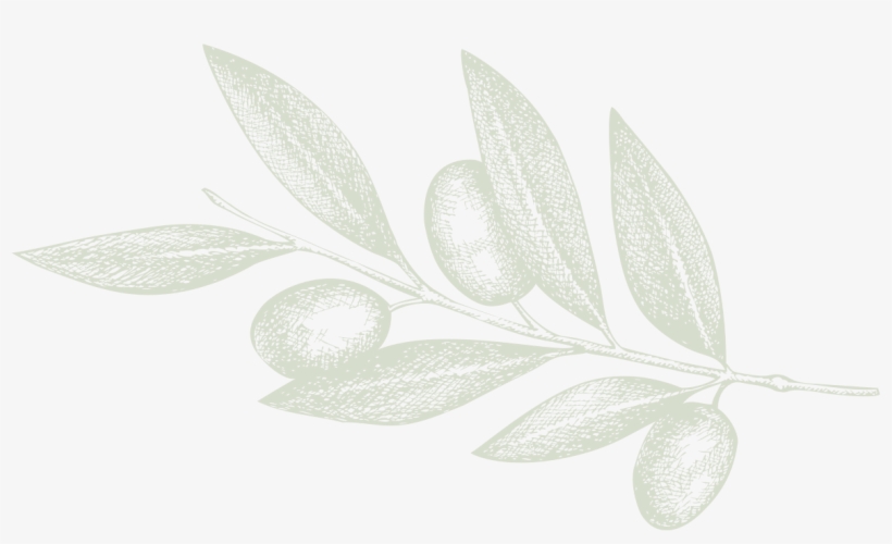 Next - Illustration, transparent png download