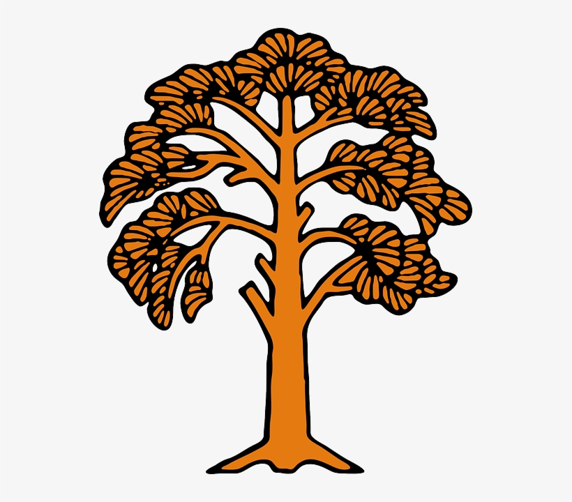Fall, Silhouette, Tree, Trees, Plant, Leaves - Tree Clip Art, transparent png download