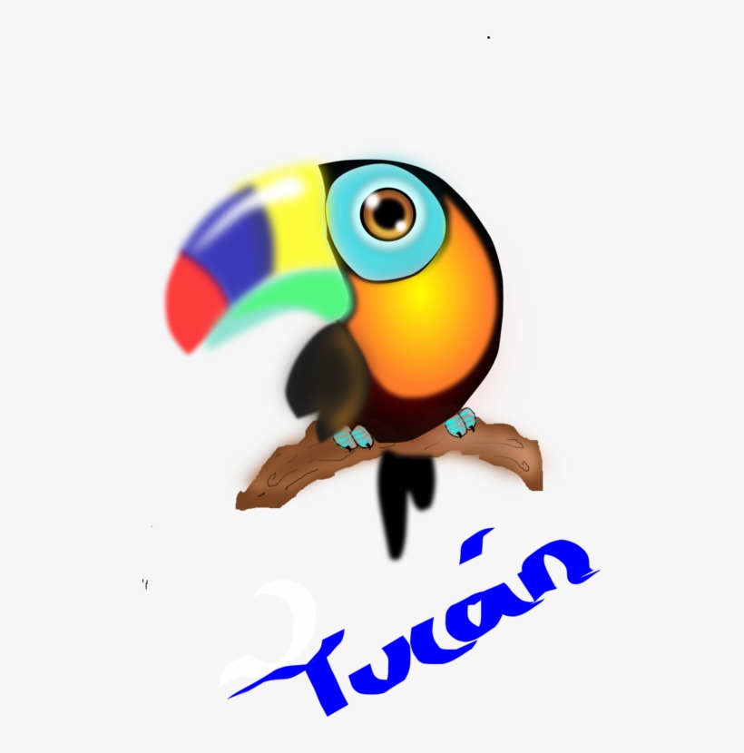 Toucan Parrot Colombia Computer Icons Beak - Clip Art Tucan, transparent png download