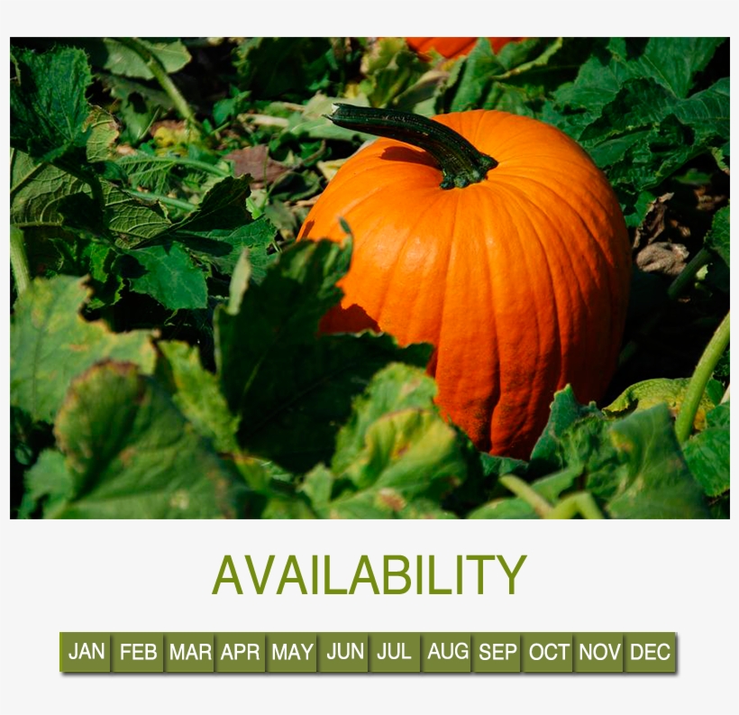 Pumpkin - Abobora Redonda, transparent png download