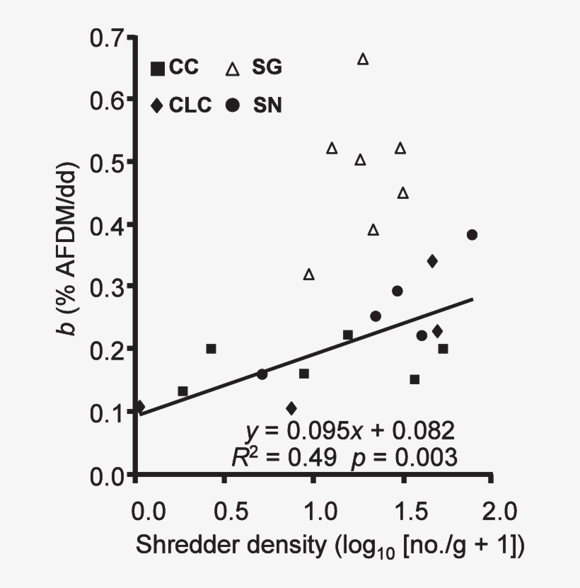 Relationship Between Alder Breakdown Rate And Shredder - Nara University, transparent png download