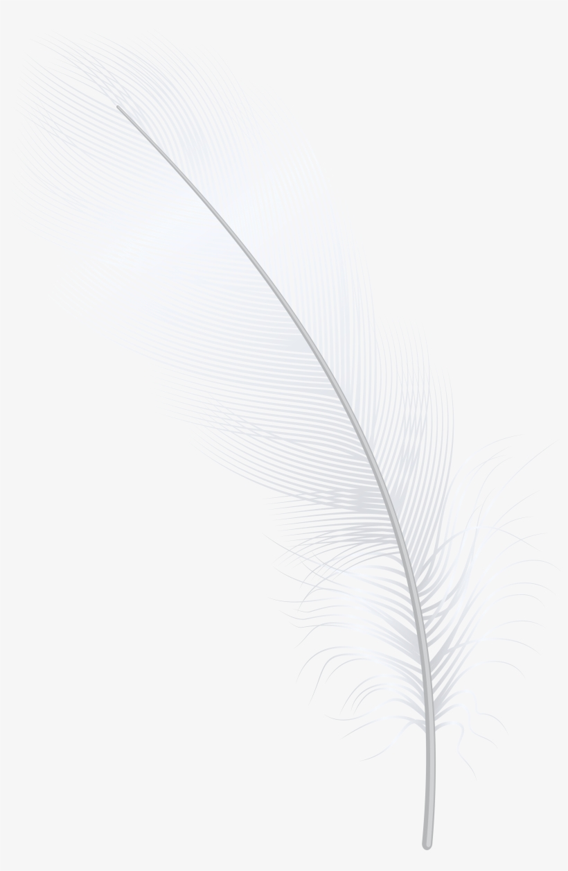 Feather White Png Clip Art - Darkness, transparent png download