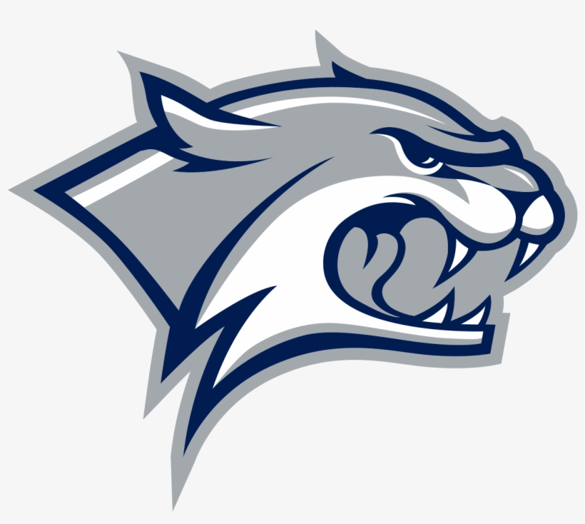 Sizing Up The Wildcats - New Hampshire Wildcats, transparent png download