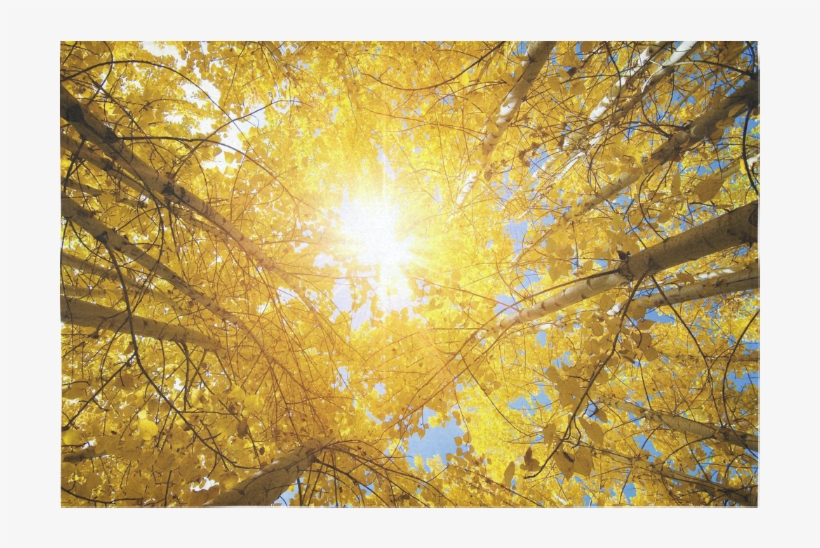 Gold Lens Flare Png, transparent png download