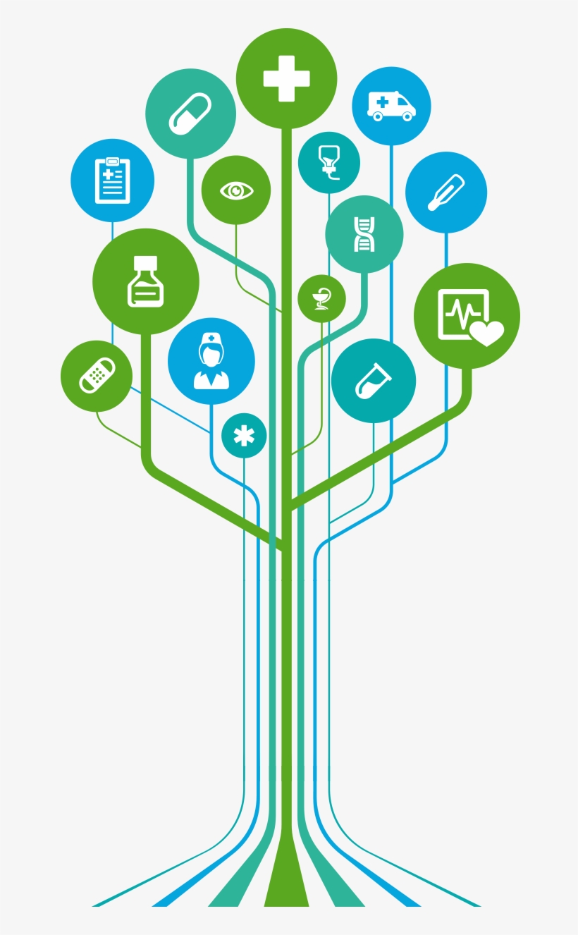 Manages All The Hospital Records Collectively In A - Health Care, transparent png download